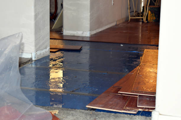 Professional Basement Flood Cleanup technician working in Thaxton, MS